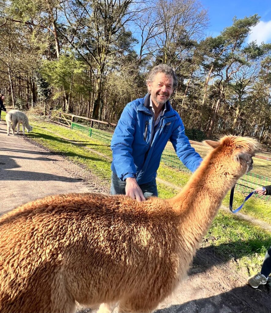 Alpaca